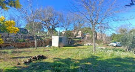 Le Thoronet Maison neuve - 2433418-9911annonce420260218txiXx.jpeg Maisons de Manon