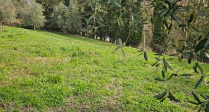 Valbonne Terrain à bâtir - 2433814-11719annonce120260218yqML8.jpeg Maisons de Manon