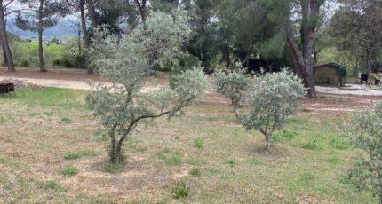 Cadenet Terrain à bâtir - 2435048-7060annonce320230609WhhVB.jpeg Maisons de Manon