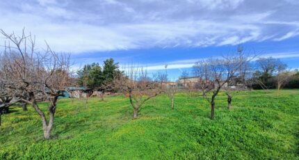 Puget-sur-Argens Terrain à bâtir - 2436485-9911annonce120260220OId2h.jpeg Maisons de Manon