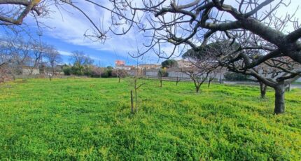 Puget-sur-Argens Maison neuve - 2436490-9911annonce220260220eGoWI.jpeg Maisons de Manon