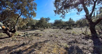 Cucuron Terrain à bâtir - 2436678-7050annonce220260223JmAI2.jpeg Maisons de Manon