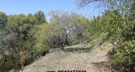 Colomars Terrain à bâtir - 2437262-10140annonce120260223rD978.jpeg Maisons de Manon