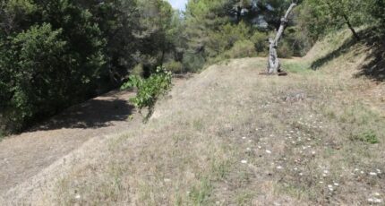 Colomars Terrain à bâtir - 2437262-10140annonce420260223ni8Dv.jpeg Maisons de Manon