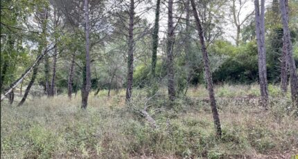 Tourrettes Terrain à bâtir - 2437273-10140annonce120251012T6Ogb.jpeg Maisons de Manon