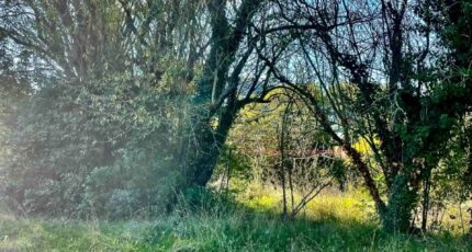 Aubagne Terrain à bâtir - 2437385-10271annonce1202602238h1TL.jpeg Maisons de Manon