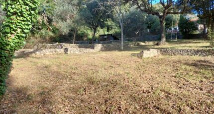 Grasse Terrain à bâtir - 2438316-1837annonce120260223a1sTT.jpeg Maisons de Manon