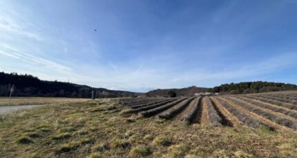 Roumoules Terrain à bâtir - 2405468-2970annonce120260224P77fH.jpeg Maisons de Manon
