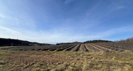 Roumoules Terrain à bâtir - 2405472-2970annonce2202602244qTXV.jpeg Maisons de Manon