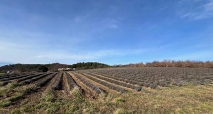 Roumoules Maison neuve - 2405438-2970annonce120260224t0Tqx.jpeg Maisons de Manon