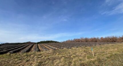 Roumoules Maison neuve - 2405473-2970annonce120260224N7zKM.jpeg Maisons de Manon