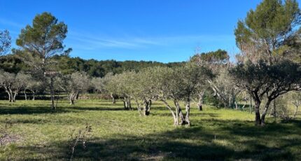 Flayosc Maison neuve - 2439666-11723annonce320260224Qn98Z.jpeg Maisons de Manon