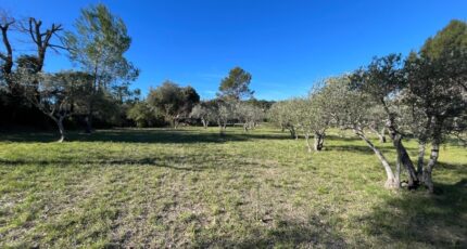 Flayosc Maison neuve - 2439679-11723annonce120260224FQeuP.jpeg Maisons de Manon