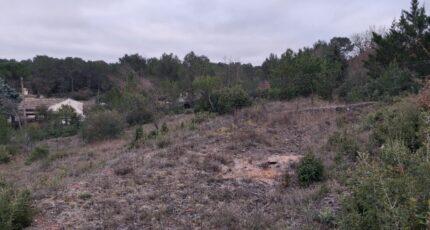 Ollières Maison neuve - 2439971-10746annonce120260225Q9Ie5.jpeg Maisons de Manon