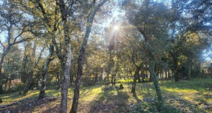 Le Thoronet Terrain à bâtir - 2440996-10744annonce2202602250ZXmy.jpeg Maisons de Manon