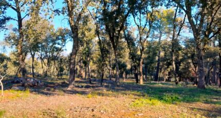 Le Thoronet Terrain à bâtir - 2440996-10744annonce320260225HEepH.jpeg Maisons de Manon