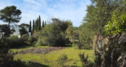 Le Cannet-des-Maures Maison neuve - 2441419-11723annonce120260226bEvkr.jpeg Maisons de Manon