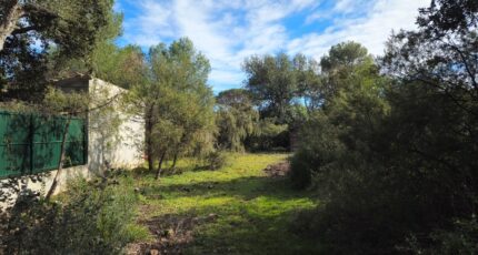 Le Cannet-des-Maures Maison neuve - 2441419-11723annonce220260226qOQ4R.jpeg Maisons de Manon