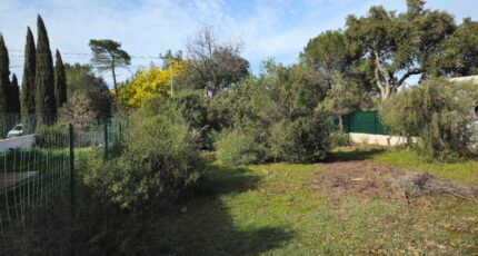 Le Cannet-des-Maures Maison neuve - 2441419-11723annonce320260226TwmpO.jpeg Maisons de Manon