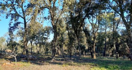 Le Thoronet Terrain à bâtir - 2441805-11723annonce420260226rulkL.jpeg Maisons de Manon