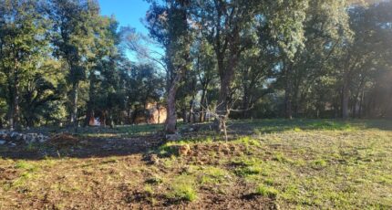 Le Thoronet Maison neuve - 2441808-11723annonce220260226xfEc2.jpeg Maisons de Manon