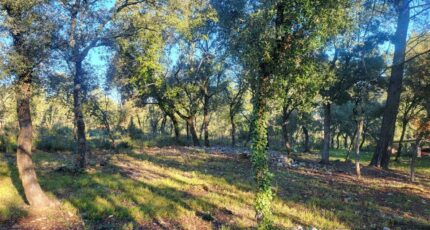 Le Thoronet Maison neuve - 2441808-11723annonce320260226yIJ0P.jpeg Maisons de Manon