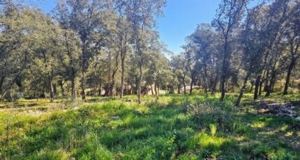 Le Thoronet Maison neuve - 2441816-11723annonce120260226zBpTE.jpeg Maisons de Manon