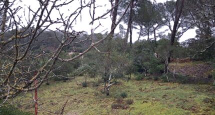 Garéoult Maison neuve - 2442052-10746annonce120260226bppZk.jpeg Maisons de Manon