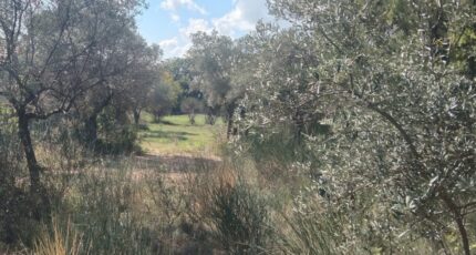 La Bastide-des-Jourdans Terrain à bâtir - 2443140-9917annonce320260227oKFxk.jpeg Maisons de Manon