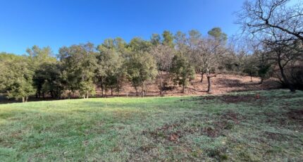 Taradeau Terrain à bâtir - 2443706-11723annonce120260227GH435.jpeg Maisons de Manon