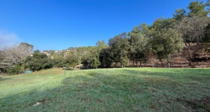 Taradeau Terrain à bâtir - 2443706-11723annonce220260227RgrCO.jpeg Maisons de Manon