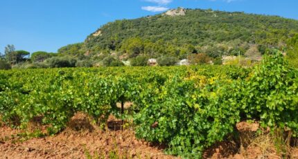 Gonfaron Maison neuve - 2353344-10746annonce120251201JVWt1.jpeg Maisons de Manon