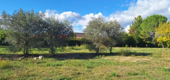 Maison neuve à , Alpes-de-Haute-Provence