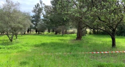 Lézignan-la-Cèbe Maison neuve - 2380498-11018annonce320250911tQ0Rl.jpeg Maisons de Manon