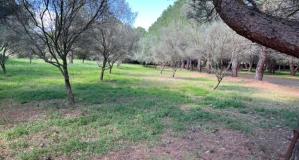 Lézignan-la-Cèbe Maison neuve - 2380492-11018annonce120250911cAT7K.jpeg Maisons de Manon