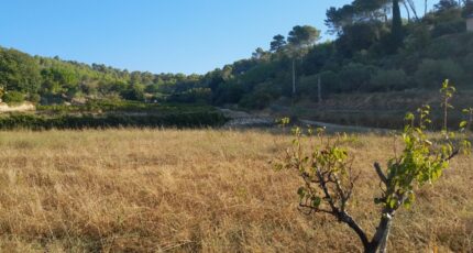 Cotignac Maison neuve - 2384148-10744annonce120251001c2BGn.jpeg Maisons de Manon