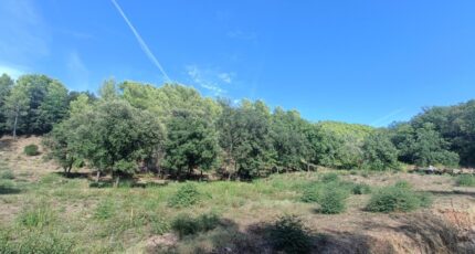 Taradeau Terrain à bâtir - 2384968-9911annonce5202601074Zm9d.jpeg Maisons de Manon