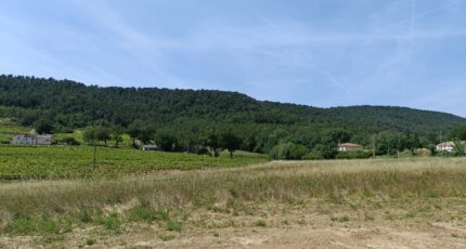 Salernes Maison neuve - 2384997-9911annonce1202601072bexo.jpeg Maisons de Manon