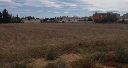 Lignan-sur-Orb Maison neuve - 2389625-11018annonce120260112qHNQA.jpeg Maisons de Manon