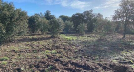 Lauris Terrain à bâtir - 2373121-7060annonce220260217PDdzs.jpeg Maisons de Manon