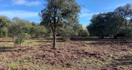 Lauris Terrain à bâtir - 2373121-7060annonce320260217lFxbm.jpeg Maisons de Manon