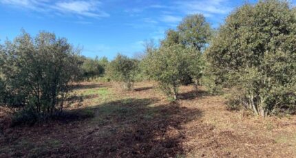 Lauris Terrain à bâtir - 2373121-7060annonce42026021702idS.jpeg Maisons de Manon