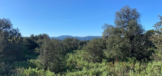 Terrain à bâtir à Puget, Provence-Alpes-Côte d'Azur
