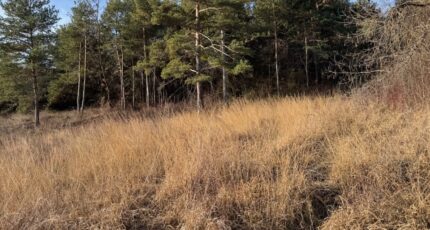 Tallard Terrain à bâtir - 2399270-11714annonce1202601203nPvk.jpeg Maisons de Manon