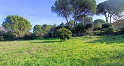 Vidauban Maison neuve - 2399330-9911annonce420260120yNMtI.jpeg Maisons de Manon
