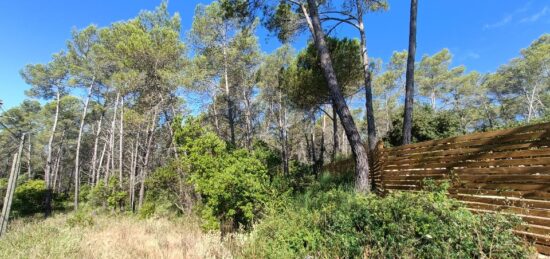 Terrain à bâtir à Bagnols-en-Forêt, Provence-Alpes-Côte d'Azur