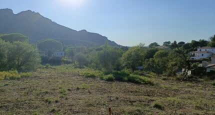Roquebrune-sur-Argens Terrain à bâtir - 2399840-9911annonce220260120TAJD8.jpeg Maisons de Manon