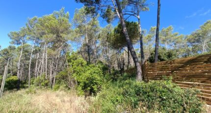 Bagnols-en-Forêt Maison neuve - 2399833-9911annonce1202601206QWtL.jpeg Maisons de Manon