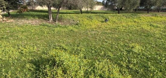 Terrain à bâtir à Roquebrune-sur-Argens, Provence-Alpes-Côte d'Azur