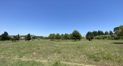 Saint-Pargoire Maison neuve - 2415411-11018annonce220251009o1DSK.jpeg Maisons de Manon